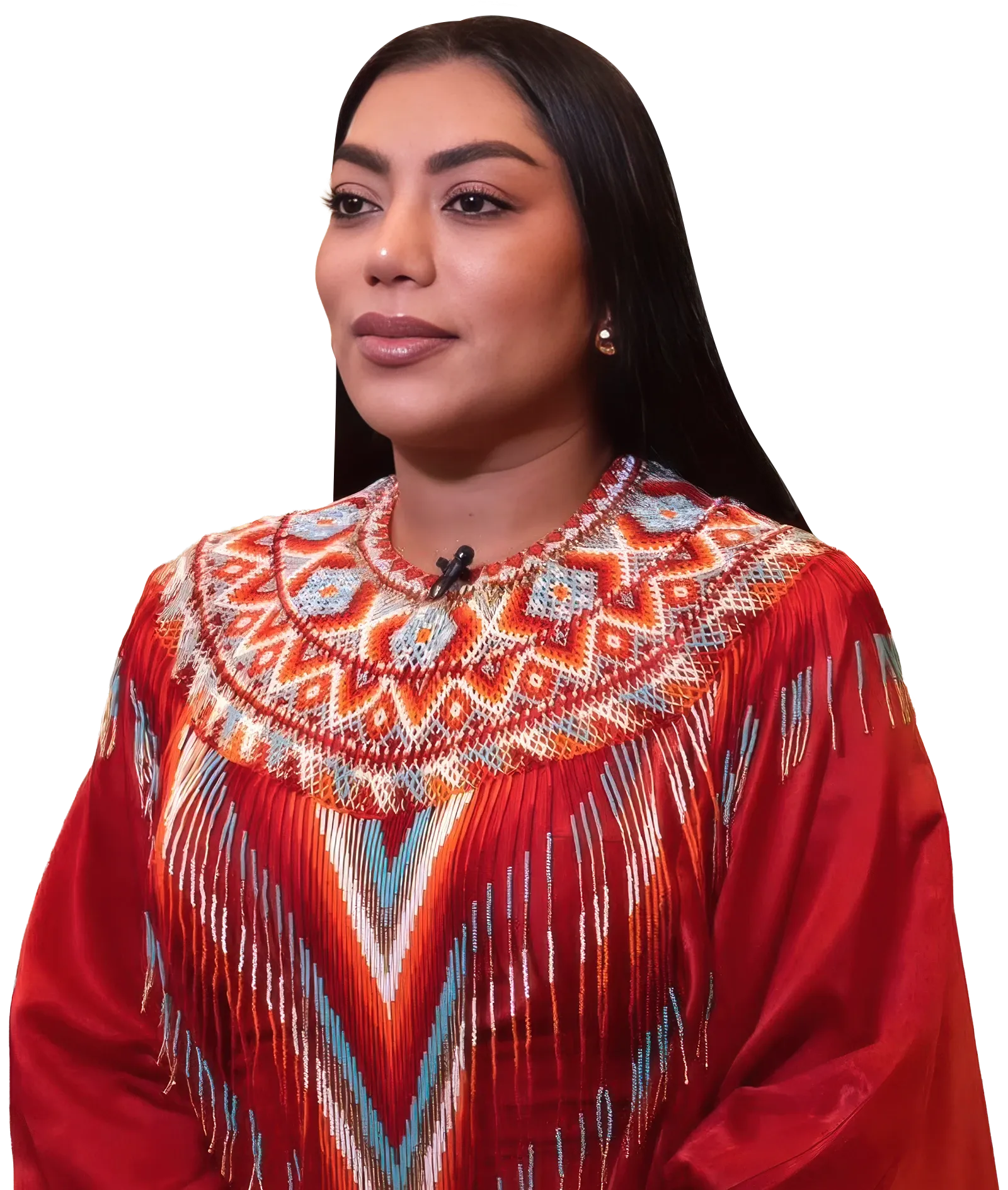 martha peralda epieyú senadora de la república de colombia